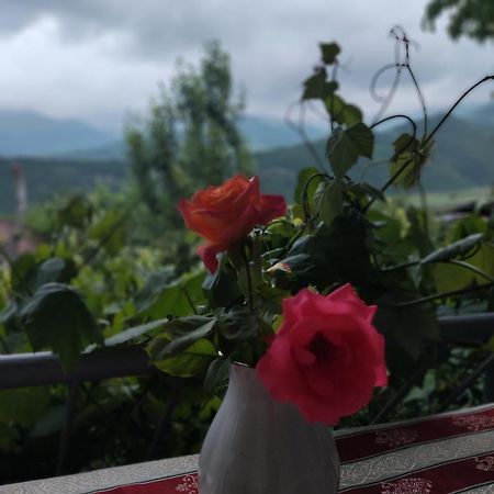 Anush'S B&B Татьєв Номер фото