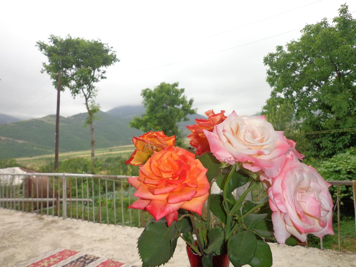 Anush'S B&B Татьєв Екстер'єр фото